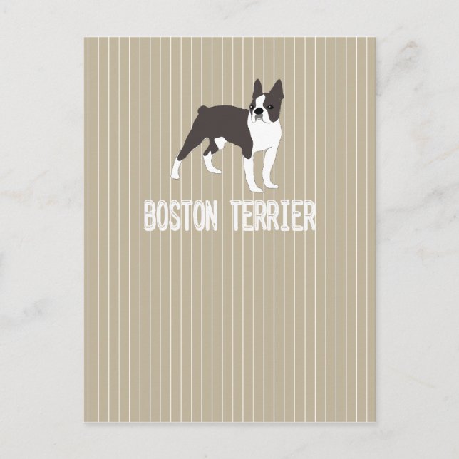 Carte Postale chien-Boston Terrier (Devant)