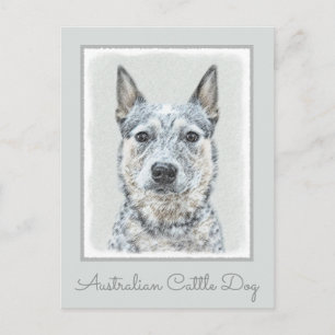 Carte Postale Chien Bouvier Australien - Art Original de Chien M