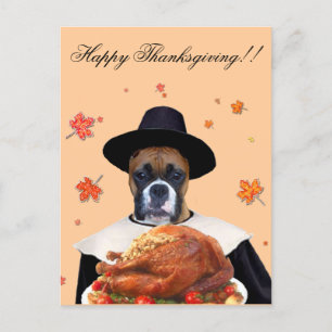 Carte postale chien boxeur Thanksgiving