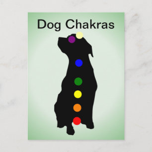 Carte postale Chien Chakras