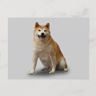 CARTE POSTALE CHIEN CHALEUREUX
