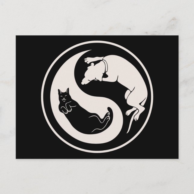 Carte Postale Chien-chat Yin-Yang (Devant)
