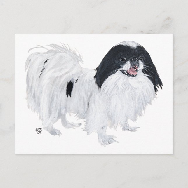 Carte Postale Chien Chin Japonais (Devant)