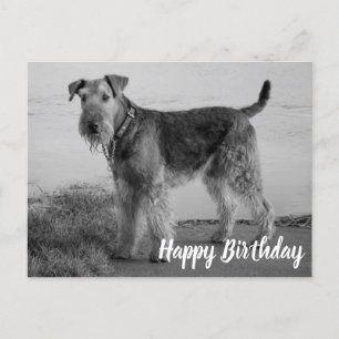 Carte Postale Chien chiot mignon Airedale Terrier Joyeux Anniver