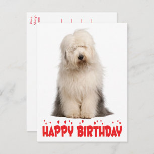 Carte Postale Chien chiot mignon vieux anglais Sheepdog Annivers