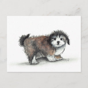 Carte Postale Chien chiot Shihtzu, animal de compagnie