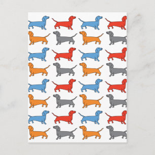 Carte Postale Chien Dachshund