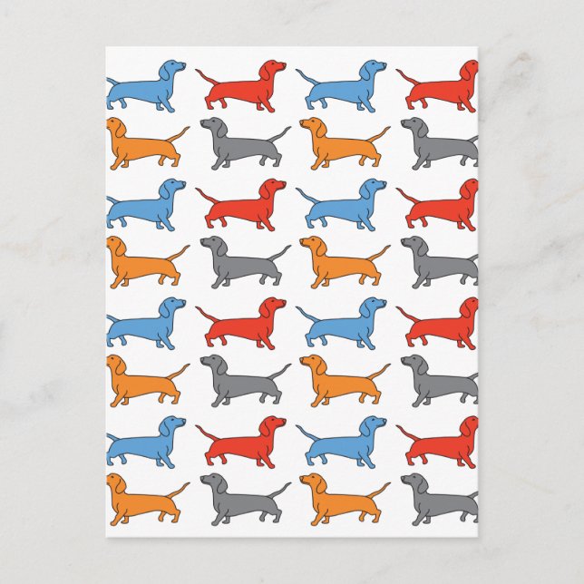 Carte Postale Chien Dachshund (Devant)