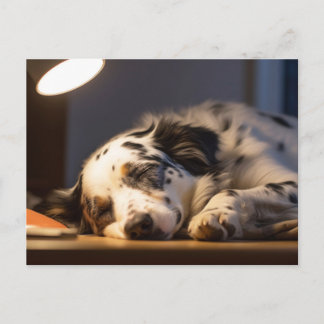 CARTE POSTALE CHIEN DALMATE ENDORMI POSTCROSSING