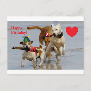 Carte Postale chien d'anniversaire heureux