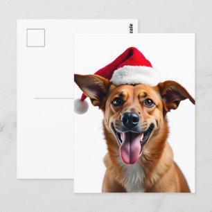 Carte Postale Chien dans le chapeau du Père Noël