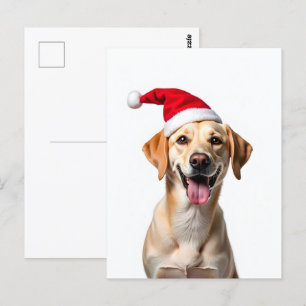 Carte Postale Chien dans le chapeau du Père Noël