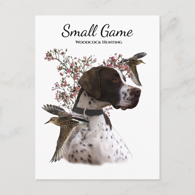 Carte Postale Chien d'arrêt, chasse à la bécasse (Devant)