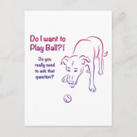 Chien de balle de tennis