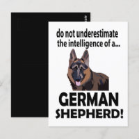 Chien de berger allemand animal de compagnie allem