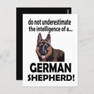 Carte Postale Chien de berger allemand animal de compagnie allem