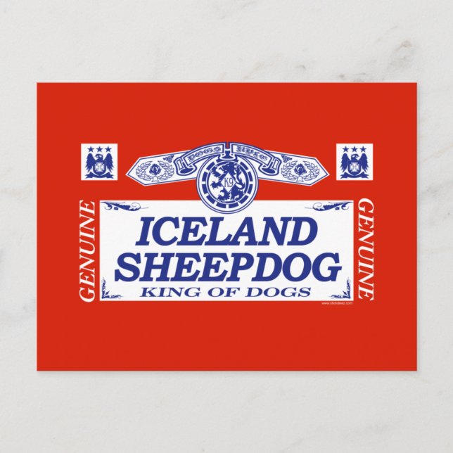Carte Postale Chien de berger islandais (Devant)