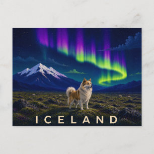 Carte Postale Chien de berger islandais sous l'aurore   Iconique