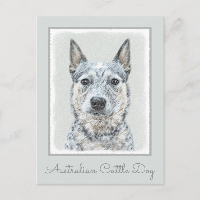 Carte Postale Chien de bétail australien - Cute Original Dog Art (Devant)