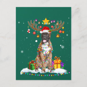 Carte Postale Chien de boîte drôle Noël Teinder Reindeer Noël
