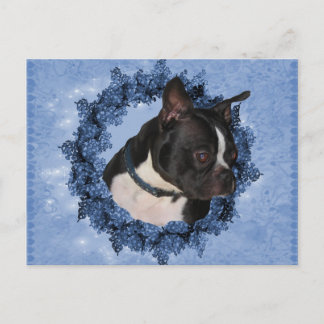 Carte Postale Chien de Boston Terrier