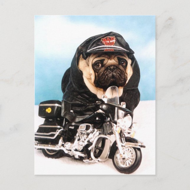 Carte Postale Chien de Carlin de vélo (Devant)