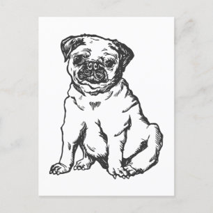 Carte Postale Chien de carlin, illustration en noir et blanc