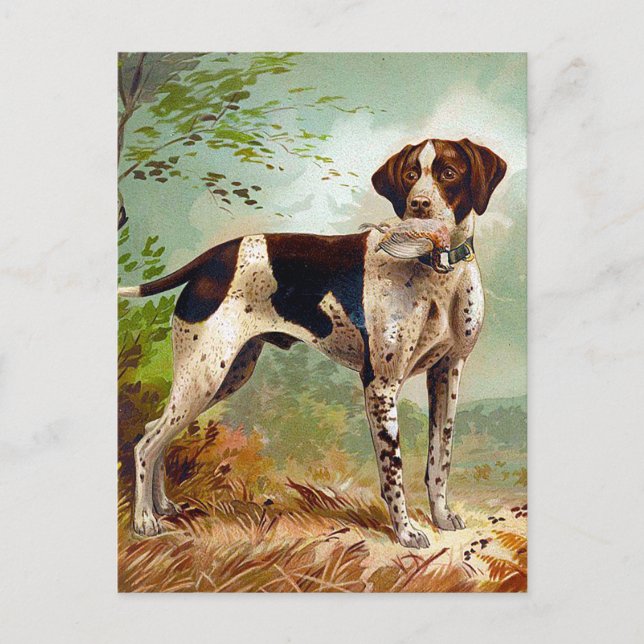 Carte Postale Chien de chasse avec oiseau dans la bouche (Devant)