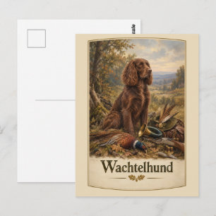 Carte Postale Chien de chasse Wachtelhund, Epagneul allemand