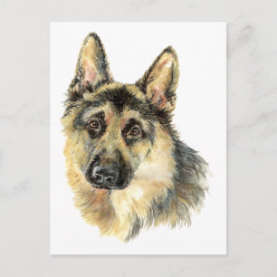 Carte Postale Chien de compagnie animal berger allemand aquarell