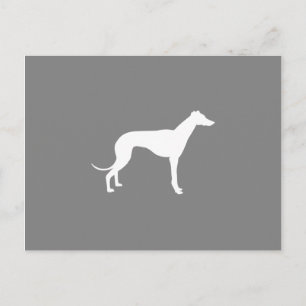 Carte Postale Chien de Greyhound