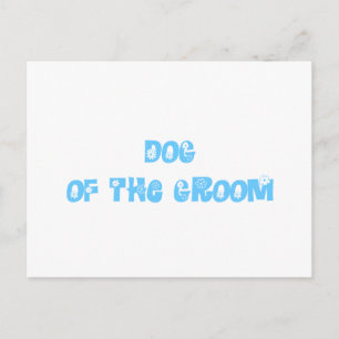 Carte Postale Chien de la chambre