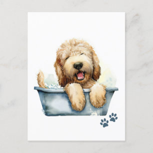 Carte Postale Chien de Labradoodle