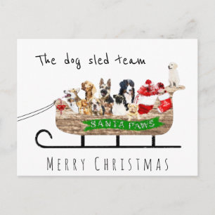 Carte Postale Chien de l'équipe de traîneau à chiens père Noël t
