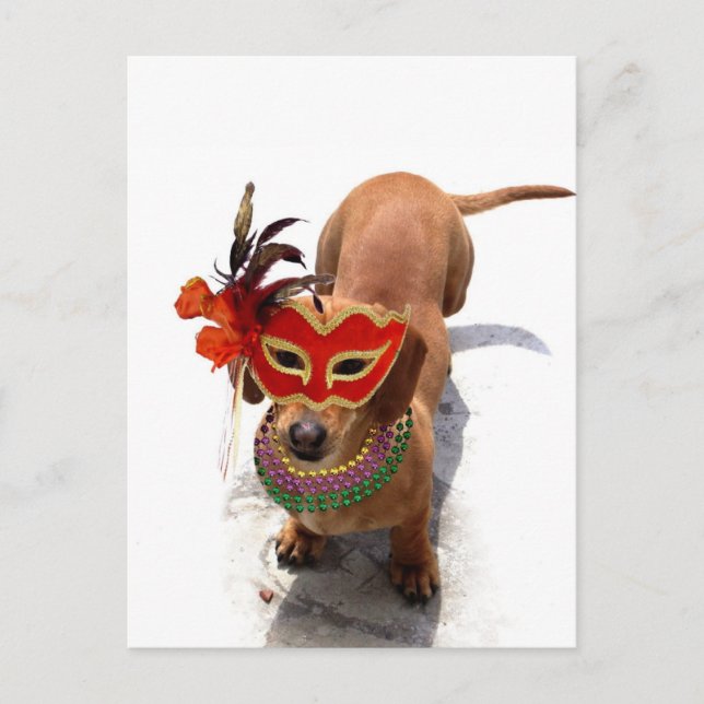 Carte Postale Chien de Mardi Gras Dachsund (Devant)