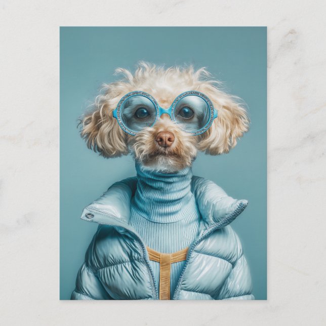 Carte Postale Chien de Mode en Tenue Bleue (Devant)