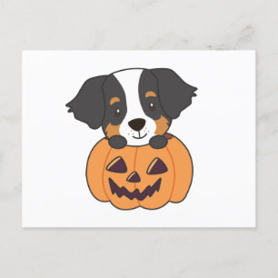 Carte Postale Chien De Montagne Bernais En Chiens Citrouilles He