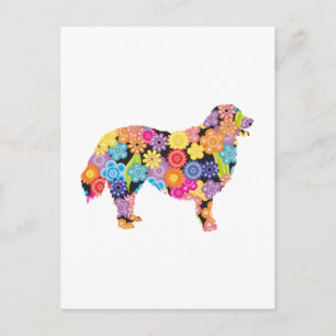 Carte Postale Chien de montagne bernois