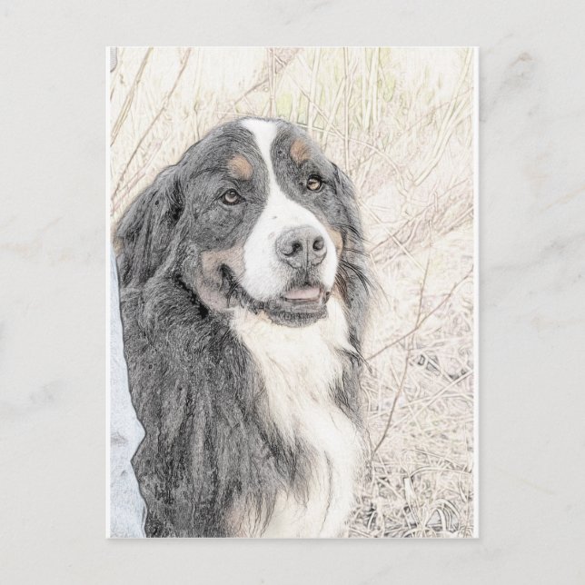Carte Postale Chien de montagne bernois (Devant)