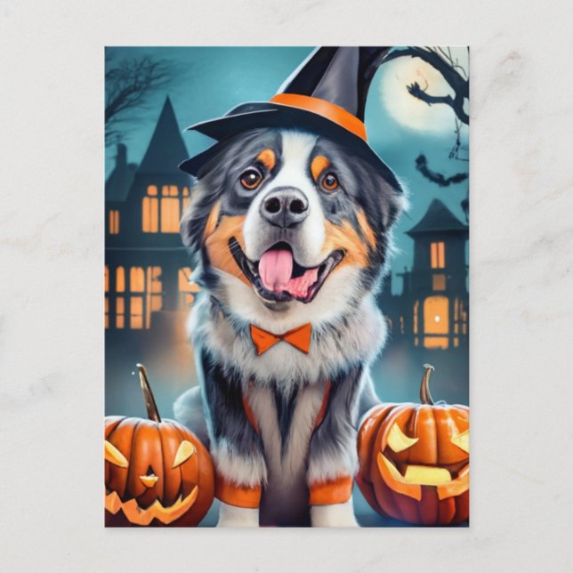 Carte Postale Chien de montagne bernois Halloween (Devant)