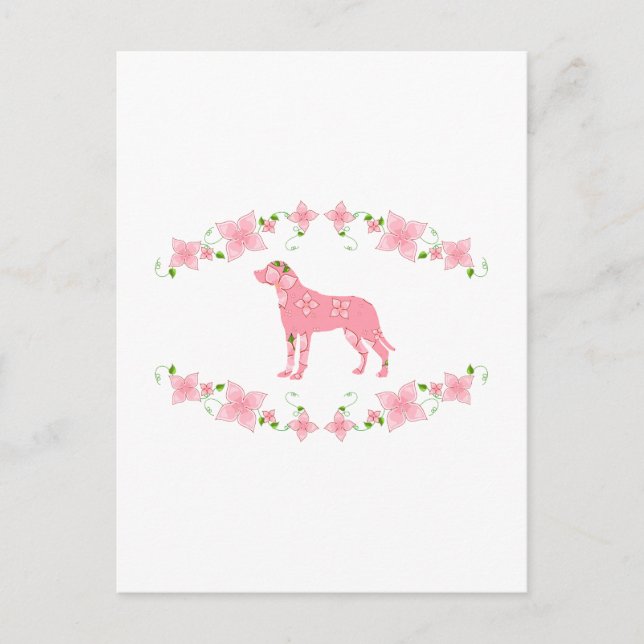 Carte Postale Chien de montagne suisse (Devant)