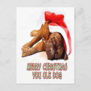 Carte Postale Chien de Noël