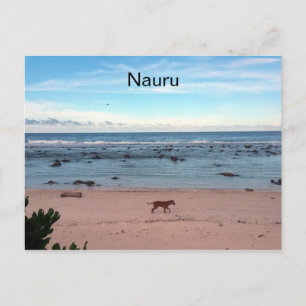 Carte Postale chien de plage de nauru