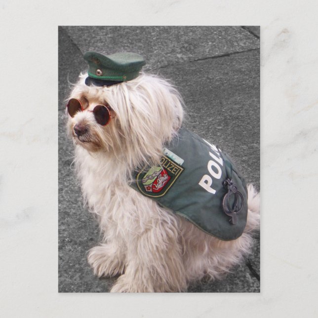 Carte Postale Chien de police allemand avec menottes (Devant)