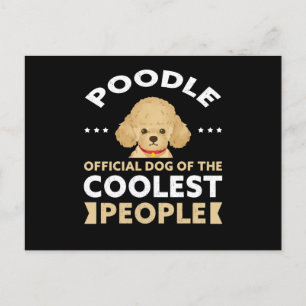 Carte Postale Chien De Poodle Du Plus Coolé   Poodles du proprié