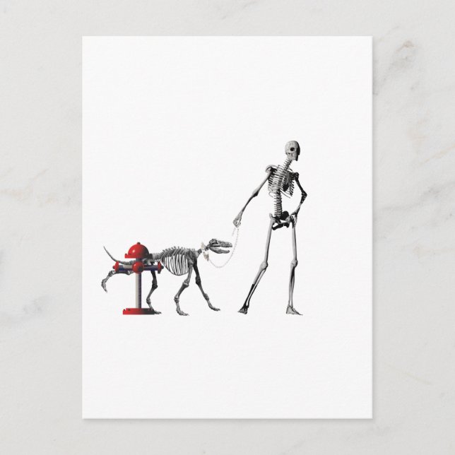 Carte Postale chien de promenade (Devant)