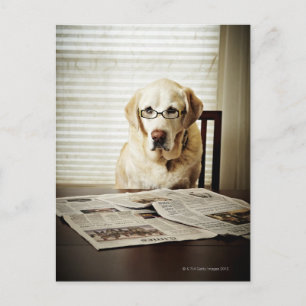 Carte Postale Chien de routine du matin