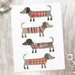 Carte Postale Chien de saucisse Dachshund<br><div class="desc">Mignonne petite saucisse Dachshund ou des chiens édulcorés en laine. Parfait pour les amoureux de les chiens et les promeneurs de chiens.</div>