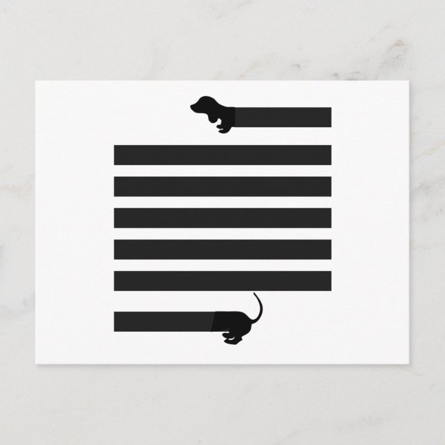 Carte Postale chien de saucisse de dachshund (Devant)