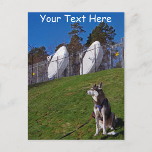 Carte Postale Chien de suivi personnalisable